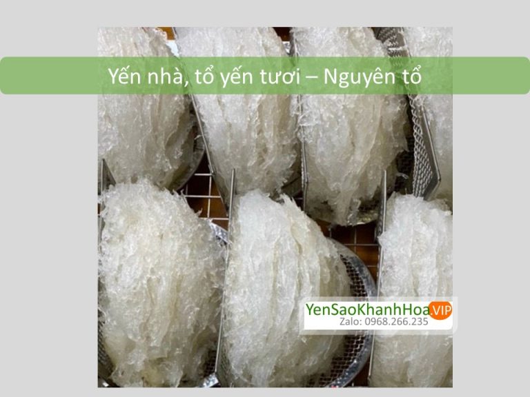 Yến tươi - Nguyên tổ (1 lạng)