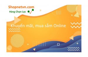 shopnetvn.com